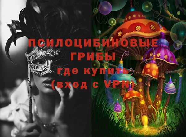 метамфетамин Богданович