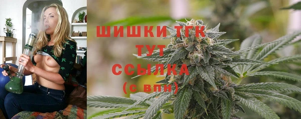 метамфетамин Богданович