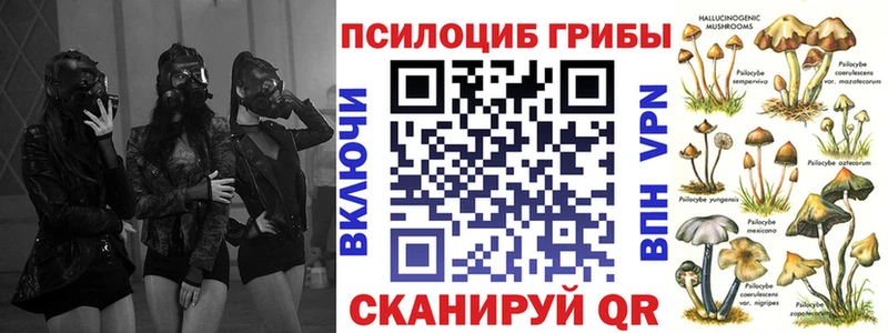 купить наркотики цена  Нижний Новгород  Псилоцибиновые грибы мицелий 